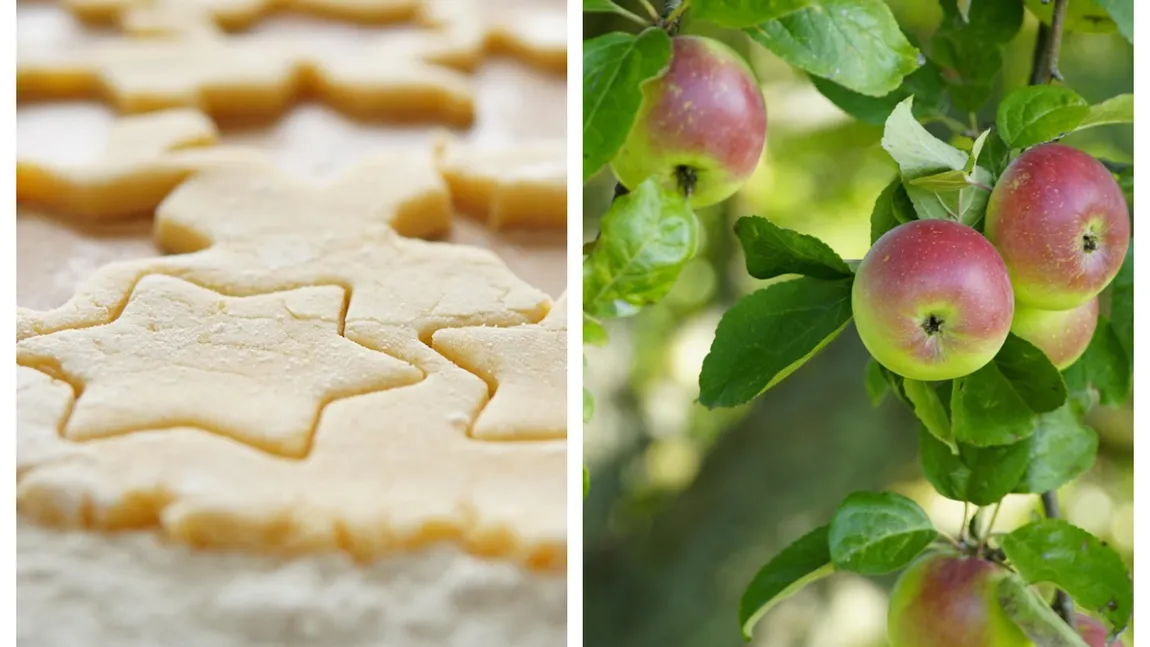 Biscuiți delicioși cu un singur măr. Rețetă simplă și sănătoasă pentru copii