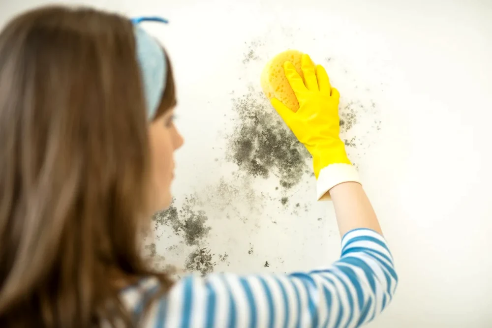 Cum să elimini mucegaiul de pe pereți în doar zece minute, folosind un produs simplu, preparat acasă