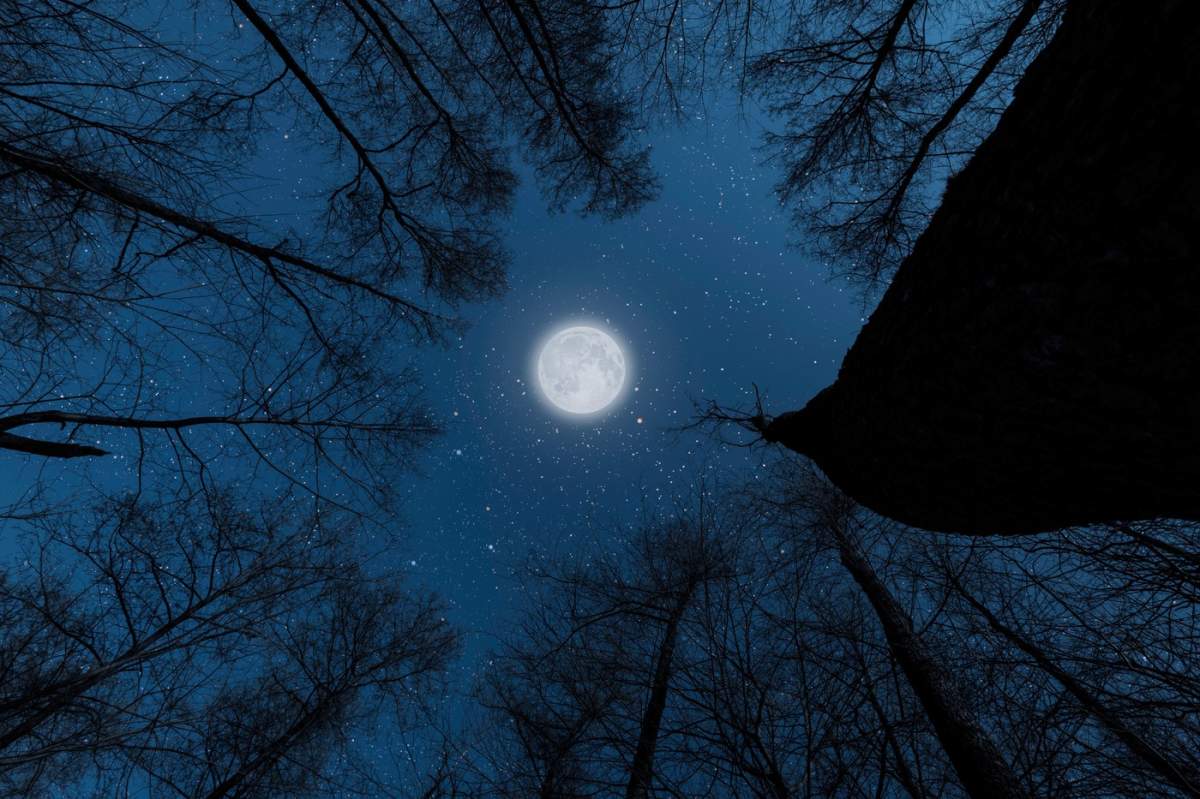 Luna Nouă din 21 octombrie 2025 marchează un moment de resetare cosmică pentru toate zodiile. Află cum le transformă acest eveniment destinul și direcția în viață