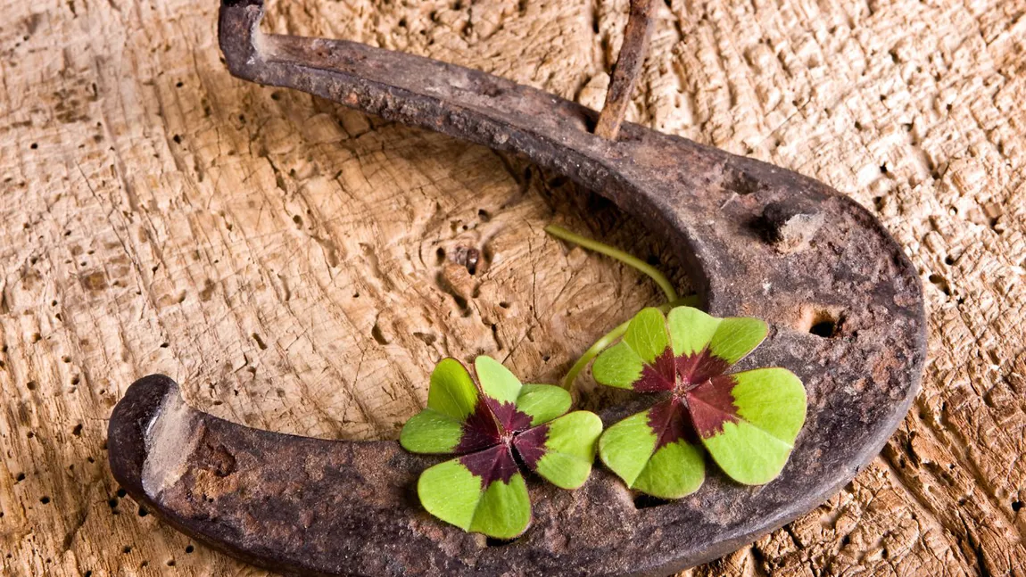 Patru zodii aflate sub protecția norocului. Finalul lunii noiembrie 2025 le aduce câștiguri și reușite neașteptate