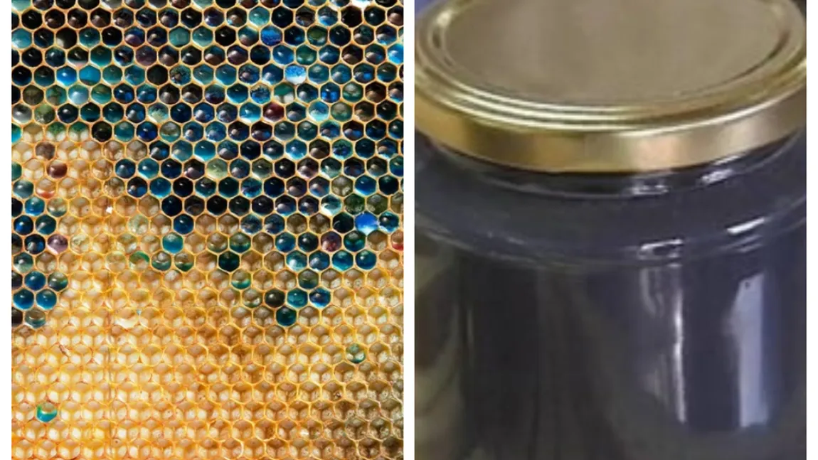 Ce este mierea albastră și când va apărea pe rafturile magazinelor din România