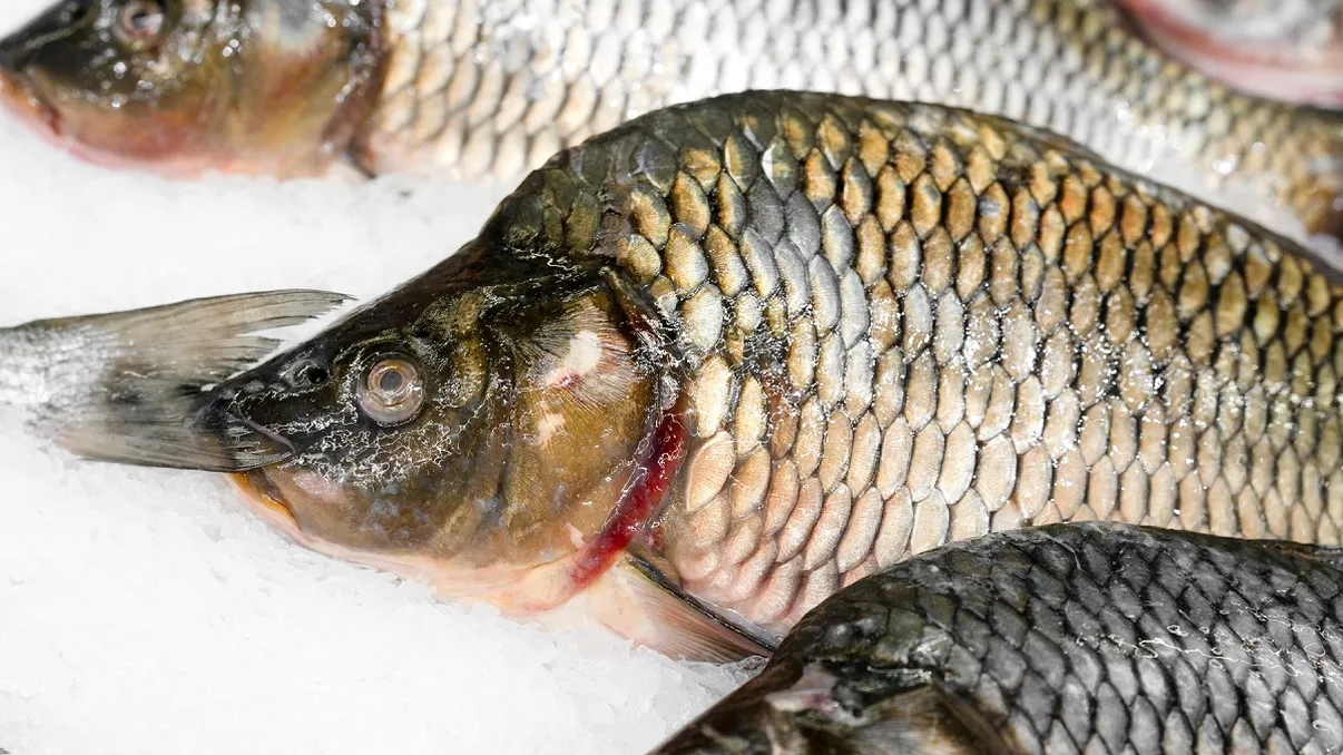 De ce este riscant să cumperi pește între Crăciun și Revelion. Motivul pentru care ar trebui să eviți această perioadă