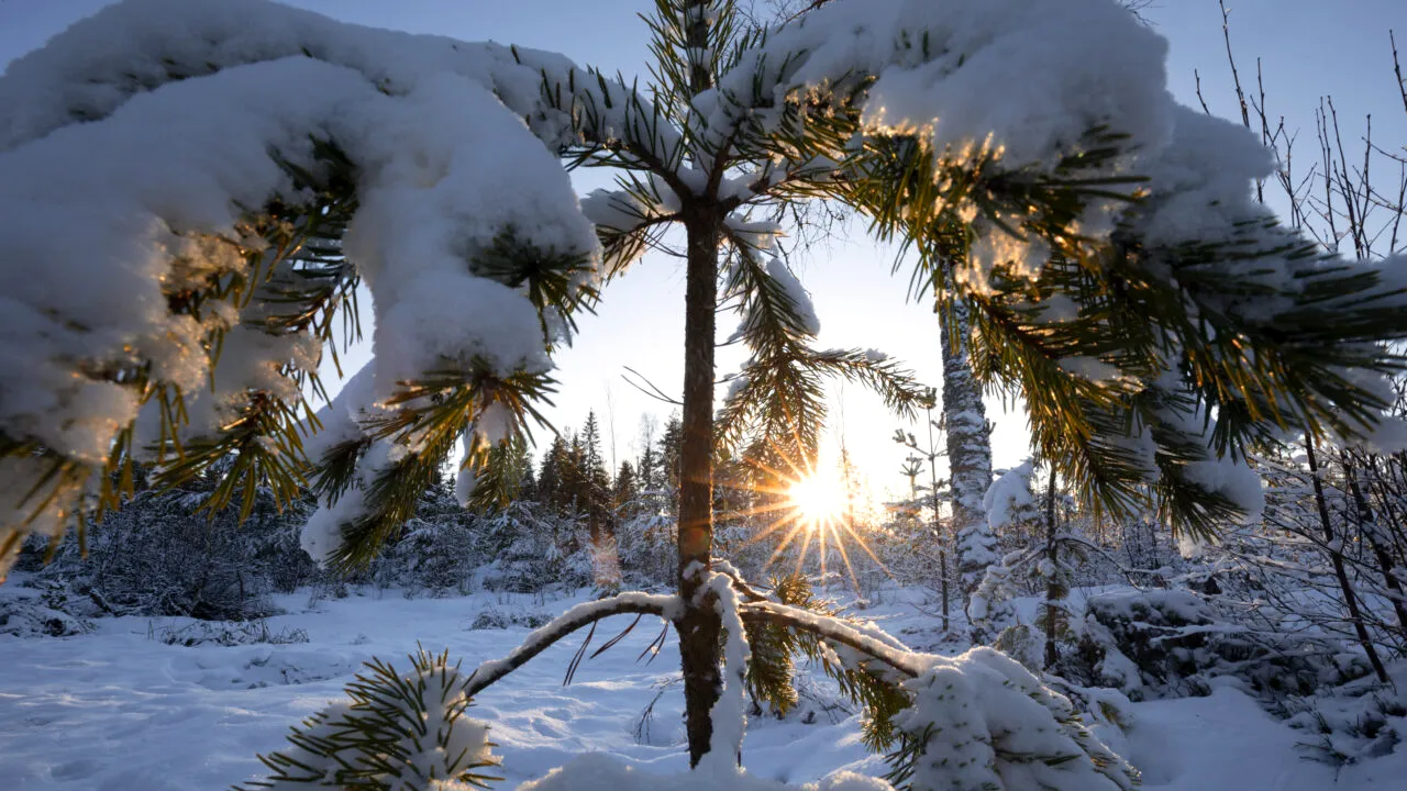 Cum va arăta vremea în intervalul dintre Crăciun și Anul Nou