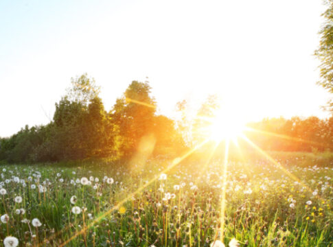 AGFzaD0wZTZmMjc1OTQyNWI4YjNjYTczZTBkZGI0Mzc1MmZkYw==.thumb