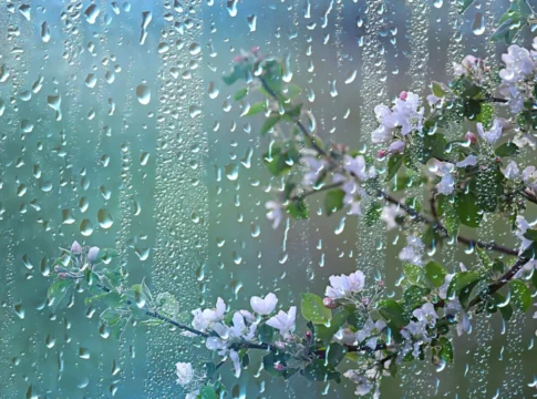 Https www.gandul.ro wp content uploads 2023 04 shutterstock 1680332926 1280x853