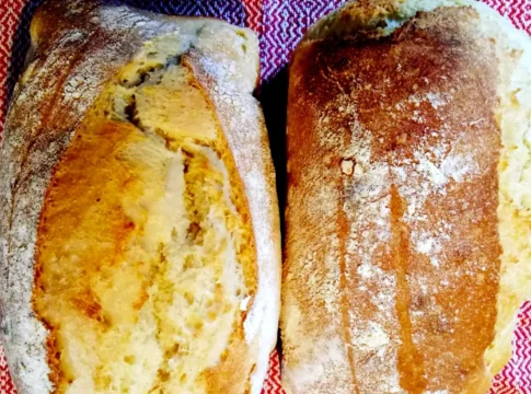 Paine izvorul tamaduirii1