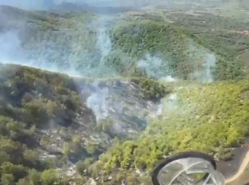 Incendiu de vegetatie