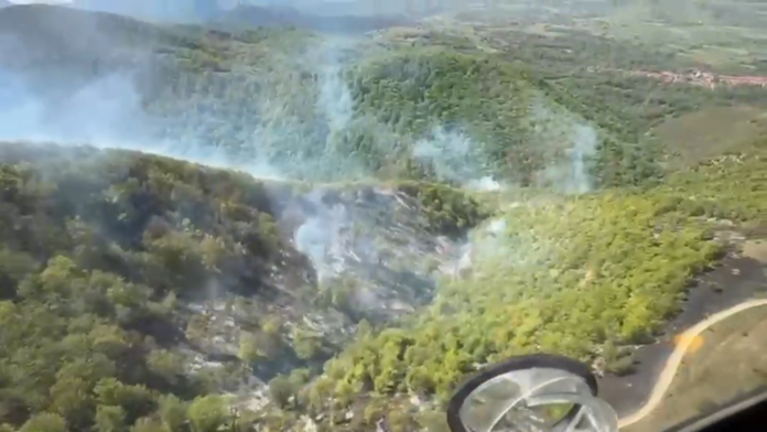Incendiu de vegetatie