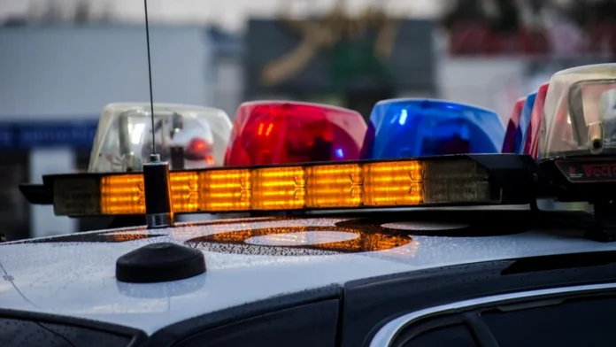 Police car 2946429 1280 1024x678