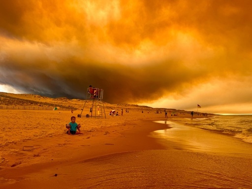 Pădure arzând intens în Franța, cu flăcări vizibile și fum dens, în departamentele Gironde și Landes, indicând amploarea incendiilor din 2026.